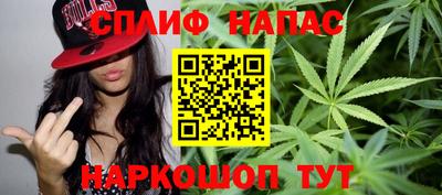 сатива Вязьма